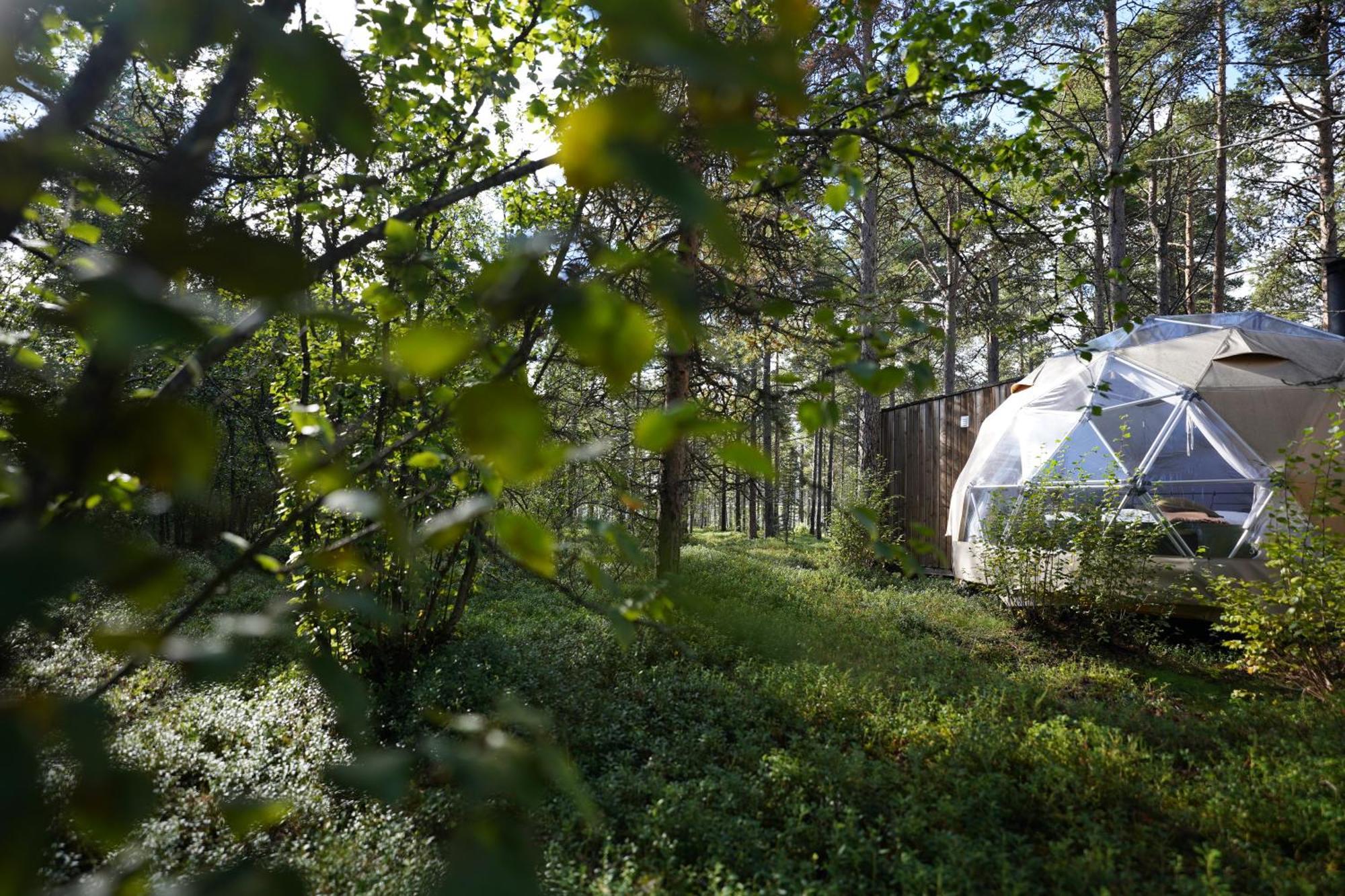 Glod Aurora Canvas Dome Alta Exterior foto